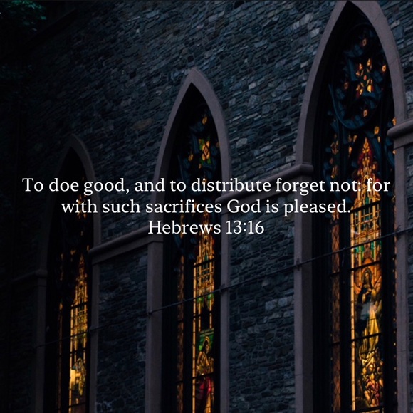 Bones x TeamSesh x Team Sesh - Picture 4 of 4